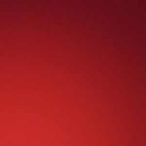 Meet your Posher, Elly